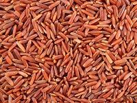 Red Yeast Rice çº¢æ›²ç±³