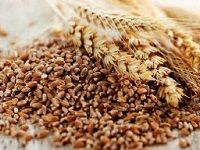 Wheat Bran éº¦éº¸