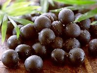 Acai é˜¿è¨ä¼Šæµ†æžœ